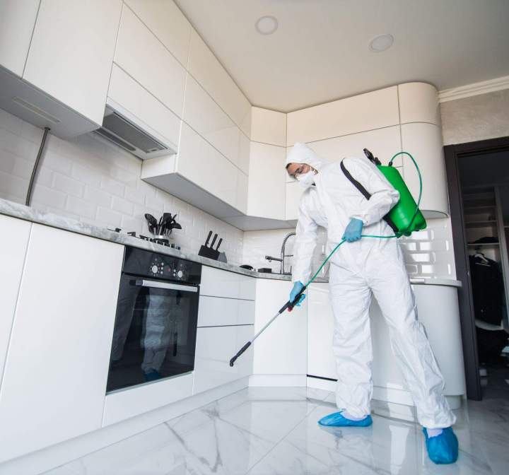 Une désinfection complète des locaux